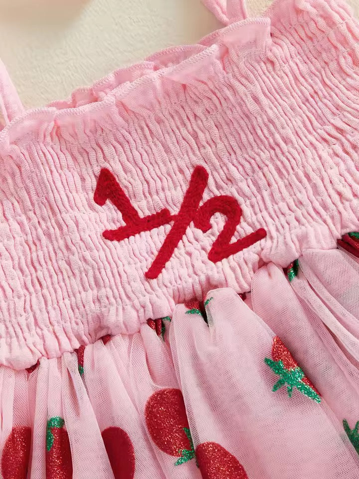 Zora ‘1/2’ Birthday Tulle Dress - Strawberry